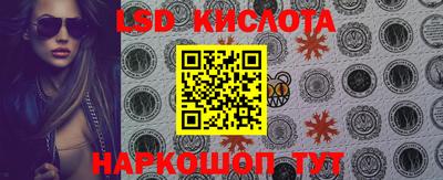 индика Владимир