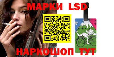 прущие грибы Брянск