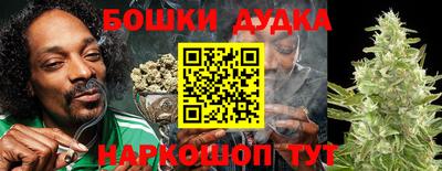 индика Владимир