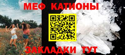 прущие грибы Брянск